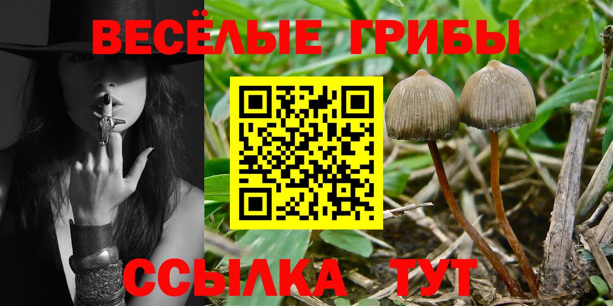 Гусь-Хрустальный  даркнет сайт  Вход с VPN  Галлюциногенные грибы GOLDEN TEACHER 